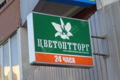 konsoli11